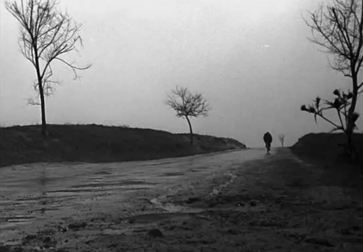 Otra escena de 'Muerte de un ciclista'. Foto:  tiempodecine.co