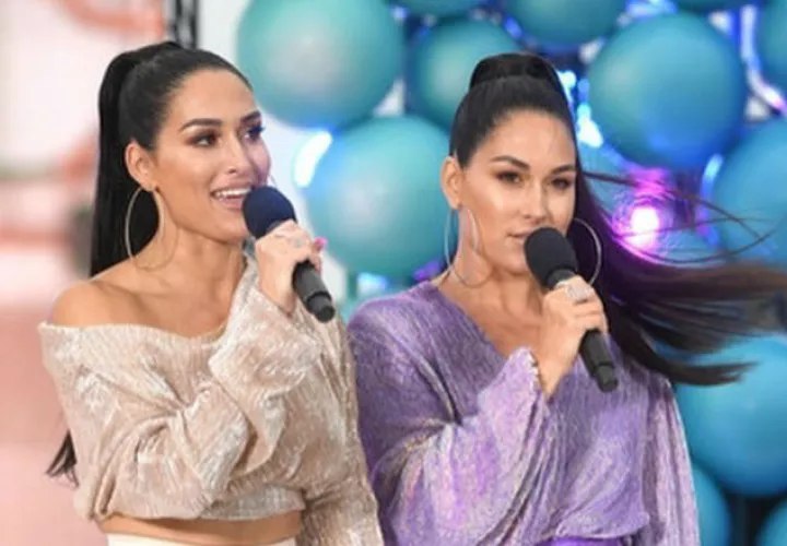 nikki_brie_bella_embarazadas_.jpg