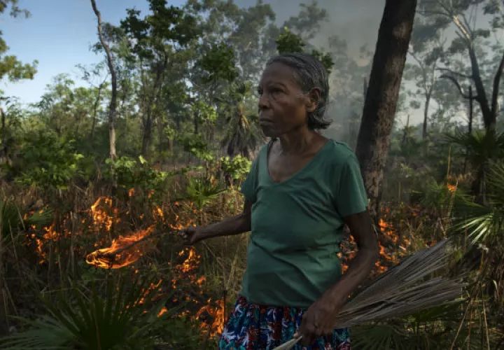Aborígenes como Violet Lawson crean incendios chicos para evitar grandes. Foto / Matthew Abbott para The New York Times.