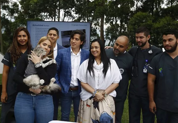 La intervención de "Romeo", un felino de raza Maine Coon y de nueve años de edad, fue practicada por un equipo interdisciplinario conformado por siete personas, entre ellos profesionales de salud humana y de medicina veterinaria.