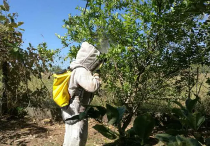 Bomberos advierten a la población por presencia de abejas africanizadas. Foto/Cortesía