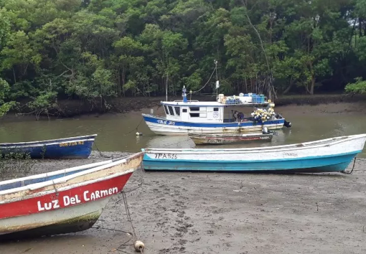 Los operativos, informó Dario Sandoval, se realizarán en coordinación con entidades de seguridad y aquellos que incumplan, serán sancionados. Foto/Thays Dominguez