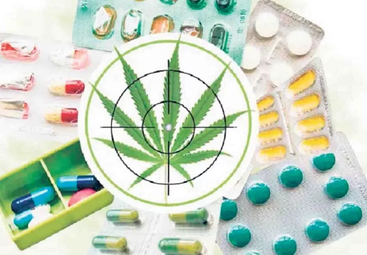 El cannabis tiene propiedades curativas para la epilepsia, esclerosis múltiple y convulsiones, entre otras morbilidades.