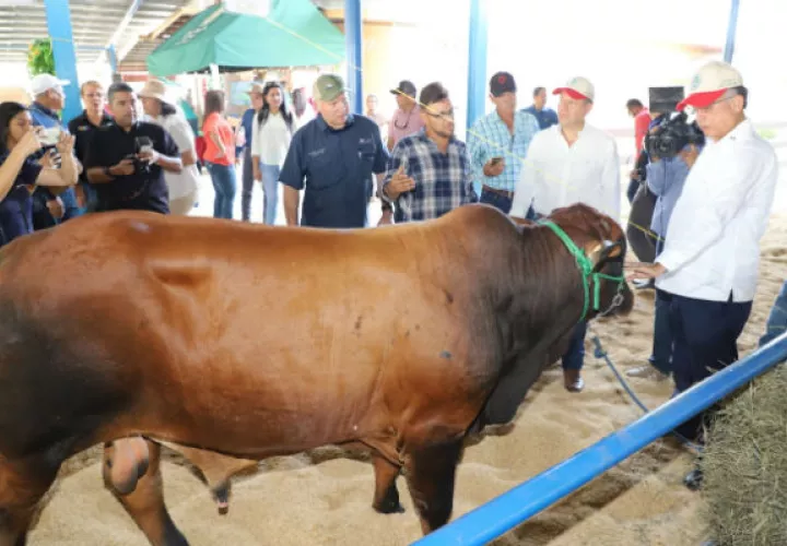 Estados Unidos autorizado un laboratorio de referencia en Honduras para realizar los análisis respectivos. Foto/Cortesía