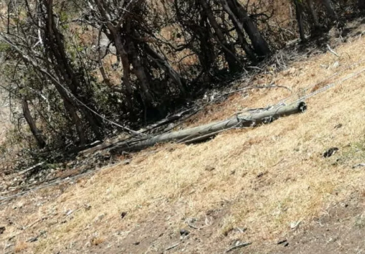 Tras la caída de los postes, se dio un incendio de masa vegetal en el área. Foto: Thays Domínguez.