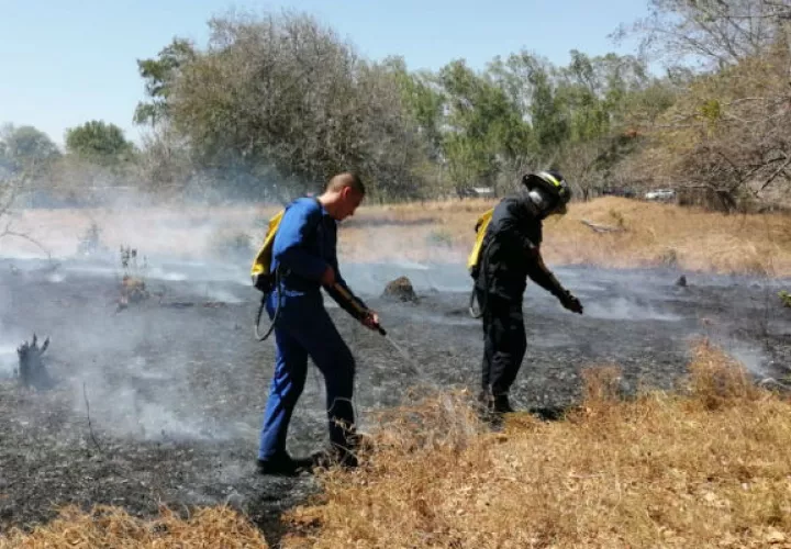 Tras la caída de los postes, se dio un incendio de masa vegetal en el área. Foto: Thays Domínguez.