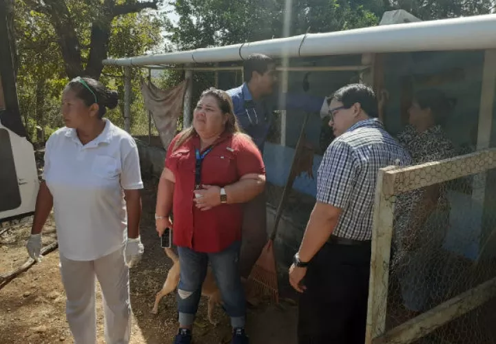 La señora vive en condiciones muy precarias con uno de sus hijos que es poco lo que le puede dar. Foto: Melquíades Vásquez.