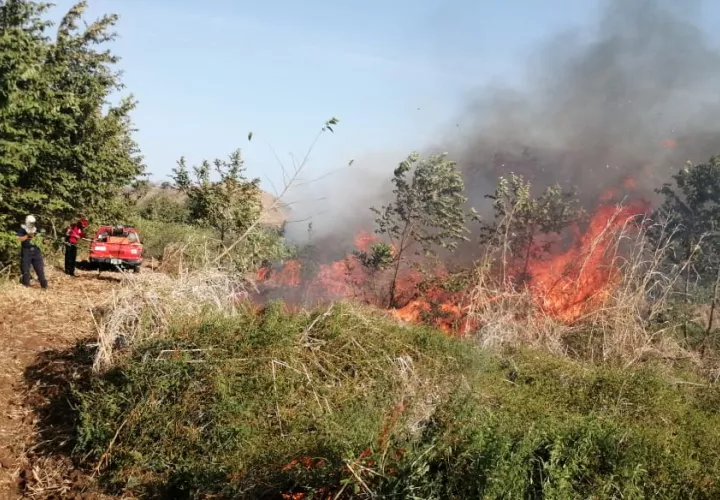 Poco después de registrado el incendio del maizal, las unidades bomberiles fueron alertadas de un segundo incendio, esta vez en Las Tablas, en la vía que conduce a playa El Uverito. Foto/Thays Domínguez