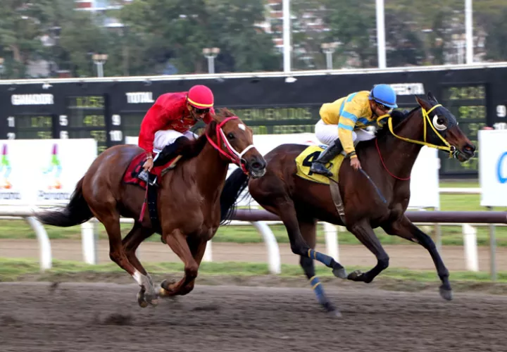 Lady Eagle (rojo) y Royal Dynasty pudieran ganar esta carrera.