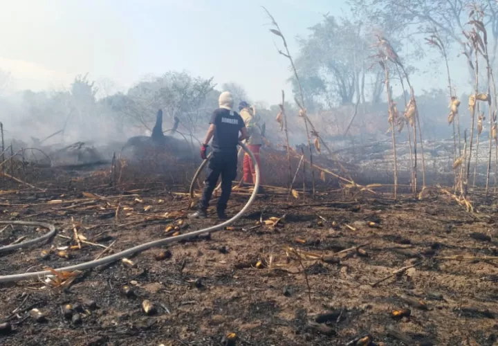 Fue necesario utilizar un tractor para hacer una línea corta fuego, de manera de controlar el incendio y evitar que se siguiera propagando. FOTO/Thays Domínguez