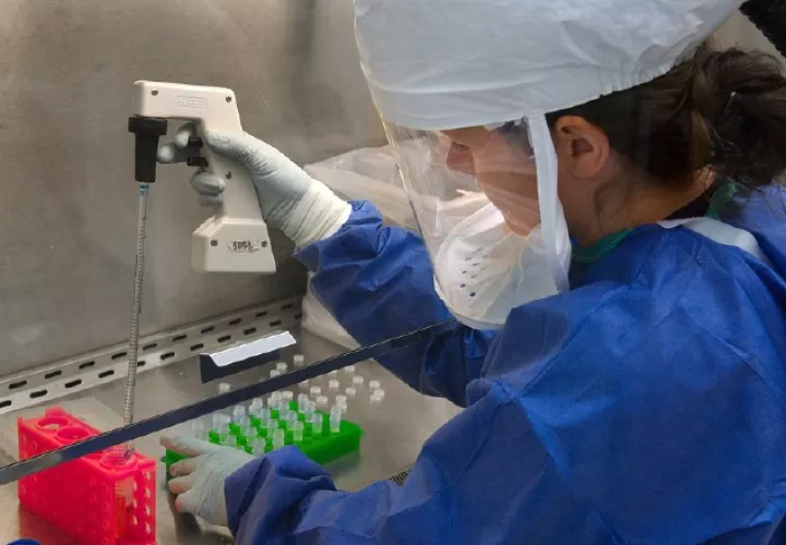 El panel se titula 'El liderazgo como herramienta para las mujeres en la ciencia'.  Pixabay 