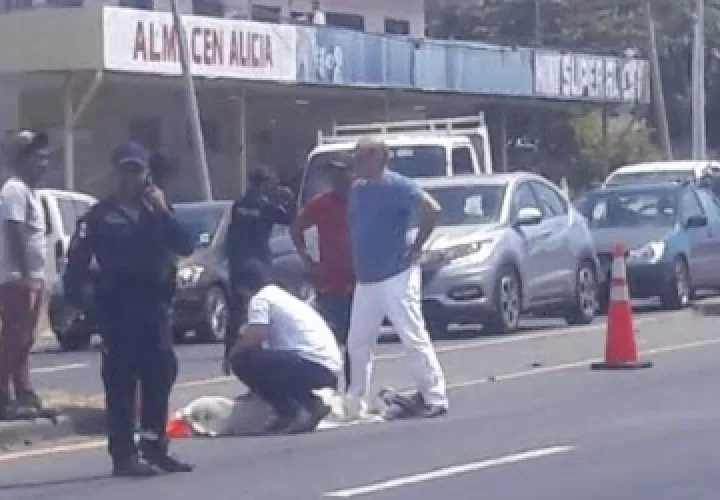 Las casos por atropello han ido en aumento. 