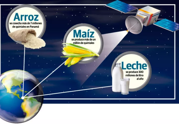 Un nuevo programa georeferenciación satelital será la clave para conocer las cifras reales de las regiones productivas y el hectareaje sembrado por rubros.
