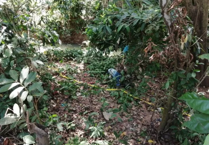 El saco con las extremidades inferiores, estaba a poca distancia del sitio en donde se había encontrado la parte superior del cadáver del adolescente. FOTO/Eric Montenegro