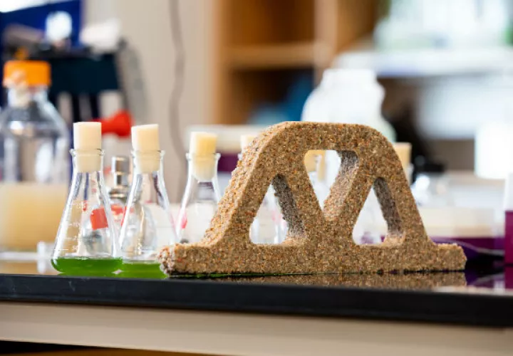 Un arco hecho de material de construcción viviente, que usa microbios para generar carbonato de calcio. Foto / Facultad de Ingeniería y Ciencias Aplicadas de la Universidad de Colorado.