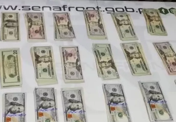 Tanto la evidencia como el detenido fueron puestos a órdenes del Ministerio Público para que ejecute el proceso correspondiente. FOTO/SENAFRONT