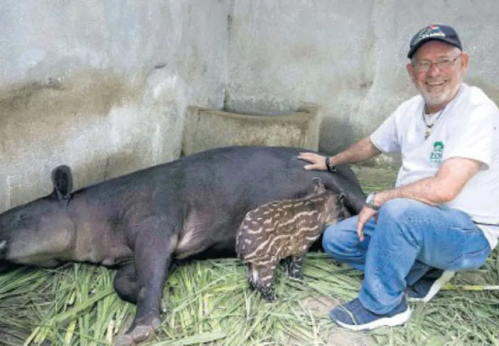 Itzia nuevo residente del Zoológico Nacional de Managua. Foto/EFE