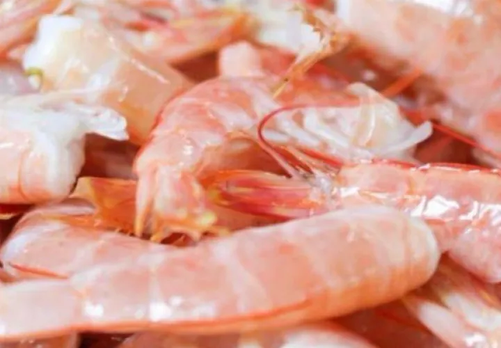 La veda del camarón se aplica tanto en la pesca industrial como a la artesanal.