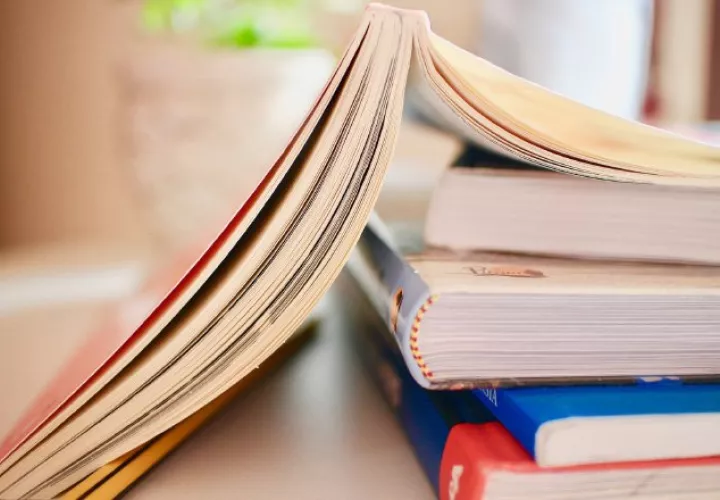 Con o sin coronvirus, la lectura siempre es una excelente alternativa para aprovechar el tiempo. Foto: Pixabay