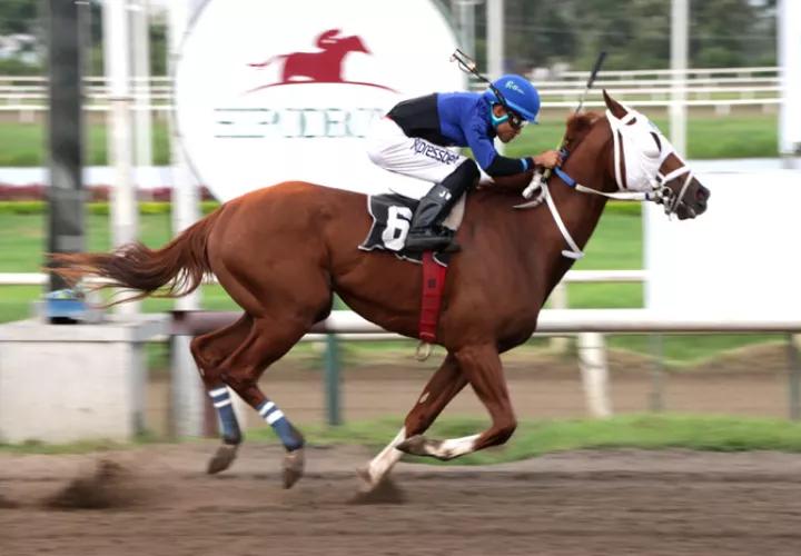 Blue Grass Envy será uno de los rivales de la primera carrera.