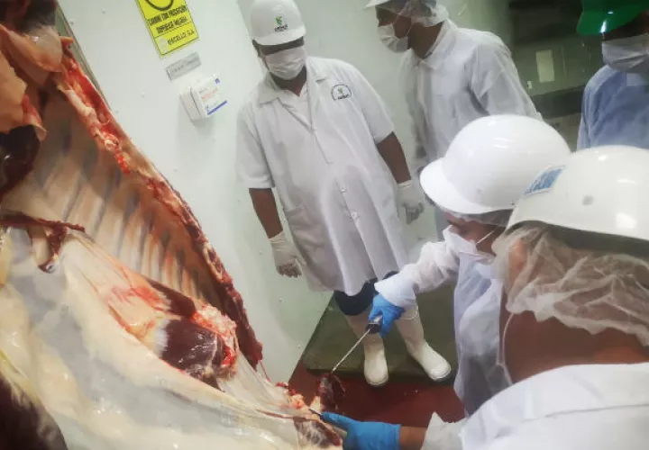 El Ministerio de Desarrollo Agropecuario da los primeros pasos para exportar carne bovina hacia EE.UU. Foto/MIDA