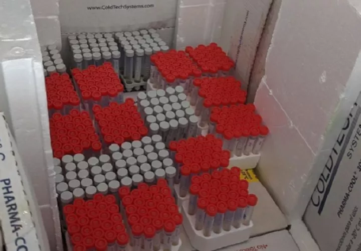 A partir del día de hoy estarán aumentando la producción a 2 mil tubos por día. Foto: IG: @indicasat_aip
