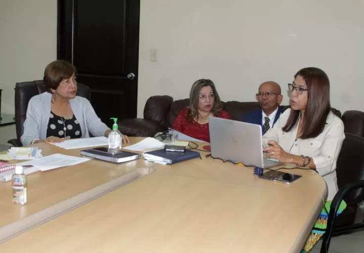 Estudiantes desde de segundo a duodécimo grado podrán ingresar al portal educativo.