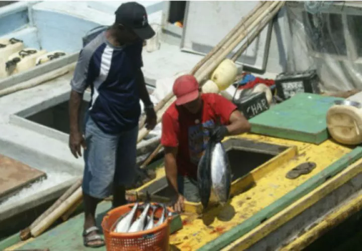 Presentan diagnóstico del sector pesca y acuícola en Panamá. Foto: Archivo.