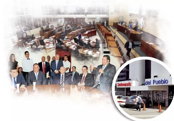 Se tenía previsto elegir a quien ocuparía el cargo el pasado 20 de enero, pero aún no se ha designado a nadie. No obstante, si se llegase a nombrar a alguien, solo estaría en el cargo hasta el 30 de marzo de 2021.