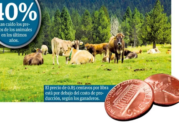 Solicitan  un plan de rescate del sector, que venga de abajo hacia arriba, por demanda y no por oferta como ha estado sucediendo. 