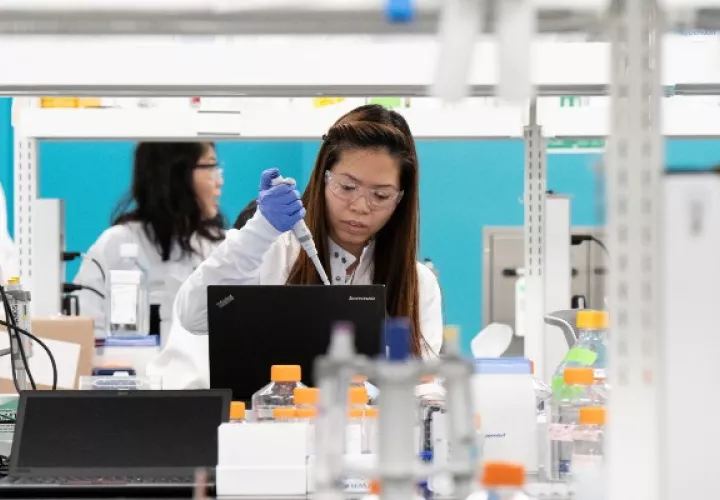 Arcturus Therapeutics es uno de los muchos laboratorios del mundo que trabajan en una vacuna contra coronavirus. Foto / Bing Guan/Reuters.