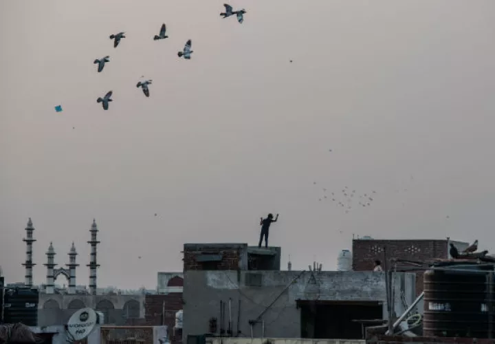 Se vuelan papalotes en Nueva Delhi, pero sus cuerdas revestidas de vidrio pueden ser fatales para aves y gente. Foto / Saumya Khandelwal para The New York Times.