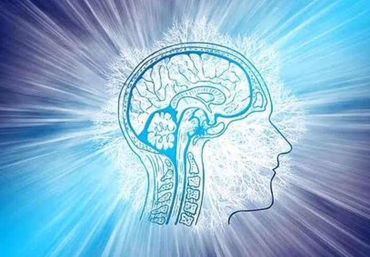 El cerebro humano es una prodigiosa máquina. No permitas que el coronavirus merme tu capacidad de tomar decisiones acertadas. #QuédateEnCasa y en Panamá juntos derrotaremos a este enemigo de la salud mundial. Foto: Pixabay