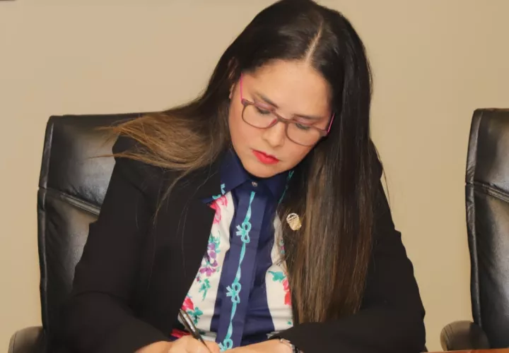  El anteproyecto presentado por la diputada Zulay Rodríguez establece una moratoria de 90 días prorrogables.