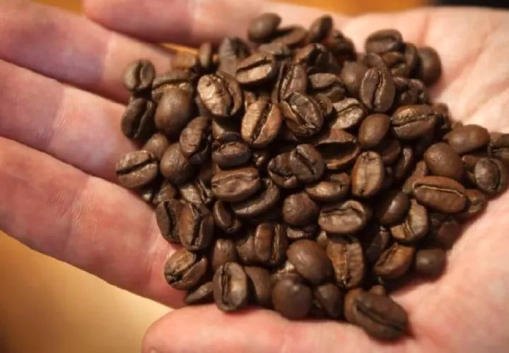 Honduras vendió 3,79 millones de quintales de café. EFE Archivo