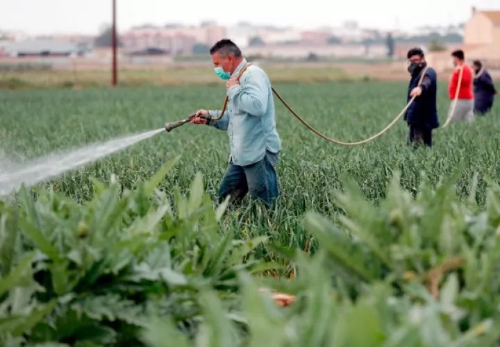 En tiempos inciertos que vive el mundo por la pandemia del COVID-19 es fundamental que se mantenga el crecimiento de la industria agrícola .