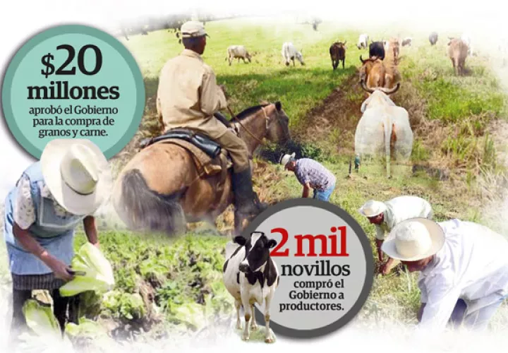 Desde el 2008 hasta la fecha en Panamá se han dejado de sembrar alrededor de 35 mil hectáreas de diferentes rubros.