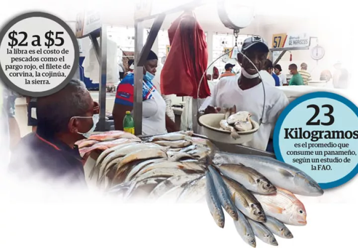 Actualmente, el precio del pescado consumido por los panameños como el pargo rojo, el filete de corvina, la cojinúa, la sierra oscila entre $2 a $5 la libra, según la Acodeco.