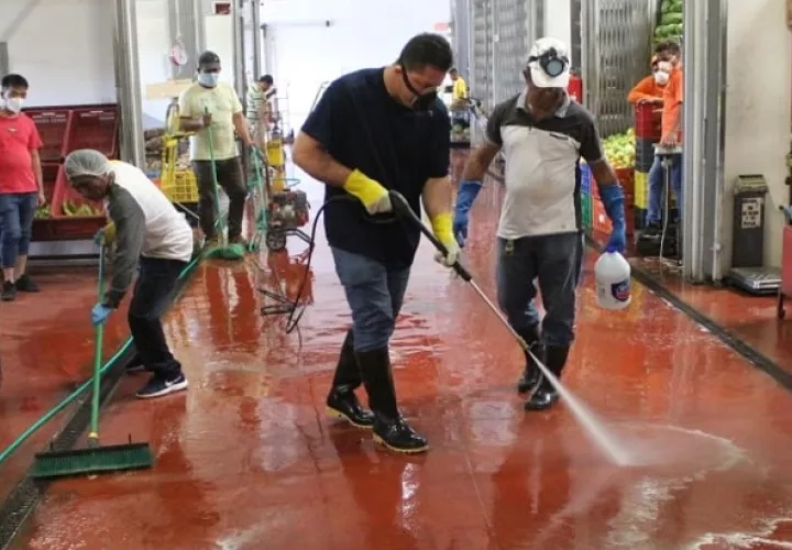 Merca Panamá está abierto de 5:00 a.m. a 5:00 p.m., de lunes a viernes, menos los sábados, ya que el mercado cierra en horas del mediodía. Foto @cadenadefriopa
