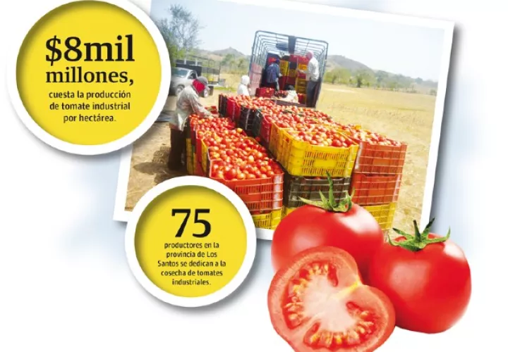 El acuerdo en negociación entre las partes establece que los productores podrían heredar la planta de procesamiento de salsas y Nestlé se encargaría de comprar el producto ya terminado.