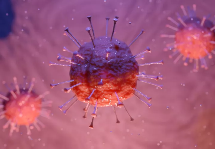 coronavirus_covid-19_0.jpg