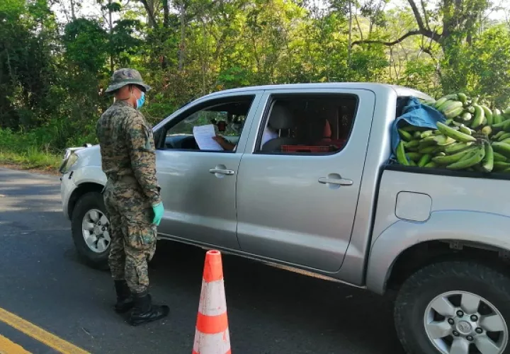 Los productores deben tramitar desde este viernes los nuevos salvoconductos.