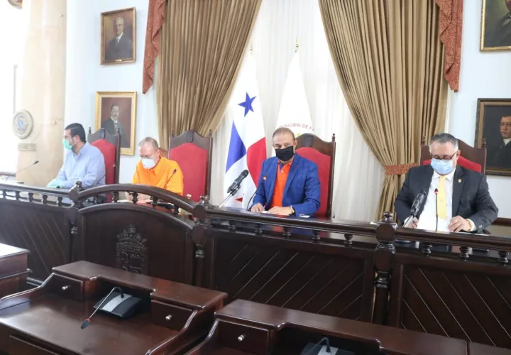 El proyecto liderado por la Comisión Municipal de Salud Pública, se discutió de forma virtual en sesión ordinaria Nº 17 aprobada con 18 votos a favor y dos abstenciones. Foto: Concejo Municipal.