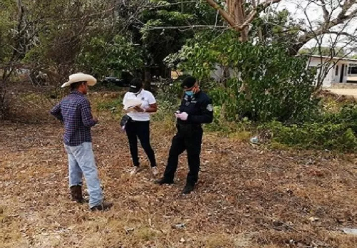 El grupo también atenderá reportes de quema de herbazales.