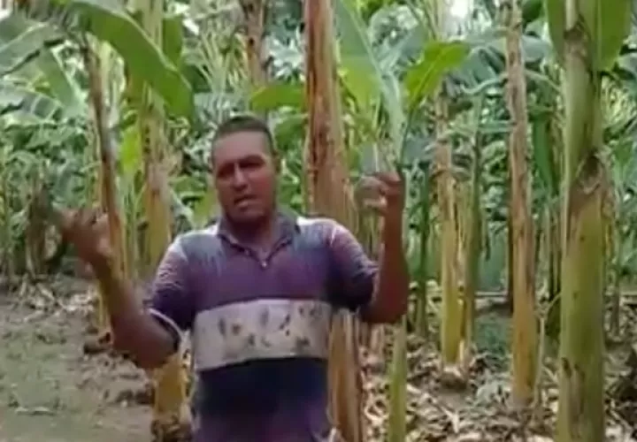 En medio de la crisis generada por el COVID-19, familia del sector de Los Velardes en el Coco de La Chorrera pide ayuda.