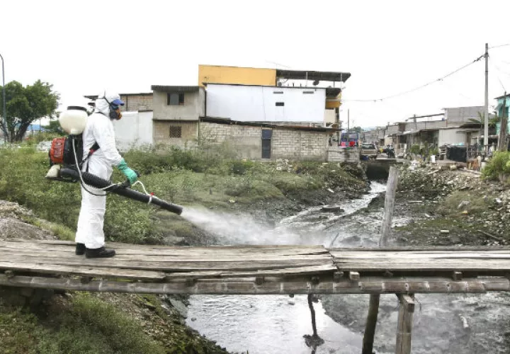 Vehículos cargan féretros en Guayaquil, con cuerpos de personas que se creen han muerto por coronavirus. Fotos: AP. 