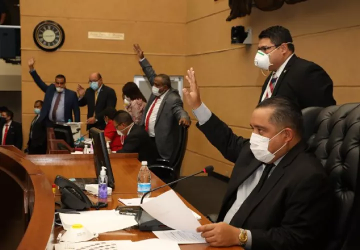 El proyecto, que busca que las sesiones del pleno se hagan virtuales, fue presentado por el presidente de la Asamblea Nacional.