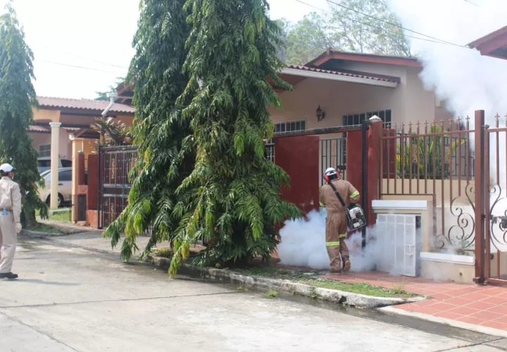 A nivel nacional, este año se han registrado 525 casos de dengue.