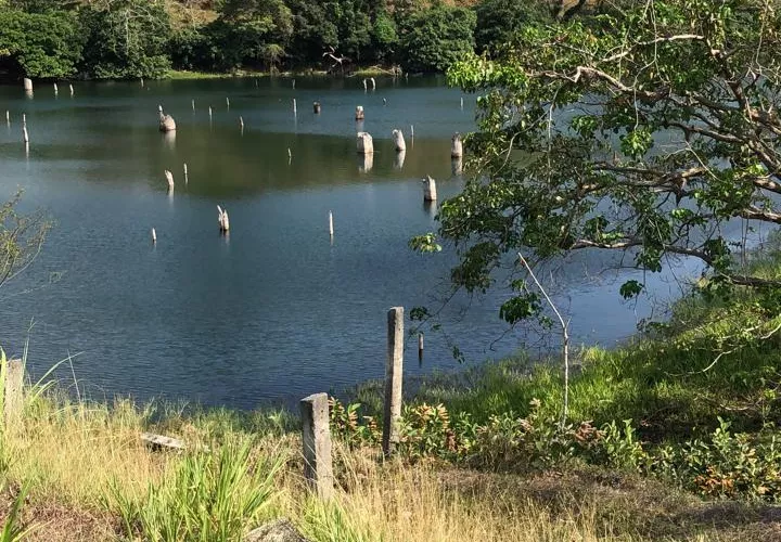 Al arrojarse al lago, uno de ellos salió, pero no Abdul, lo que obligó a su acompañante a llamar a las autoridades. Foto/Diomedes Sánchez