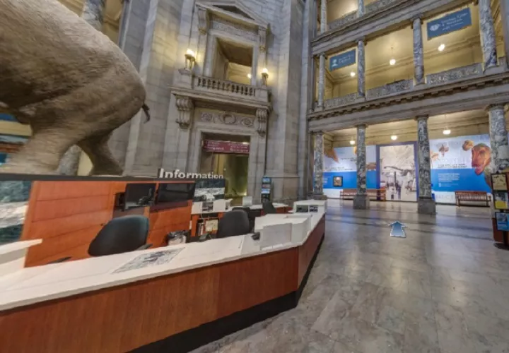El recorrido será educativo y pasarán un rato de esparcimiento.  Tomado de Smithsonian/Loren Ybarrondo
